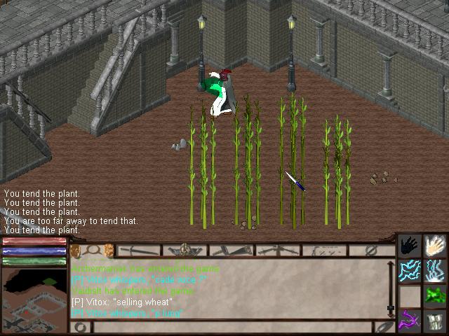 farming.JPG, 65 kb, 640 x 480
