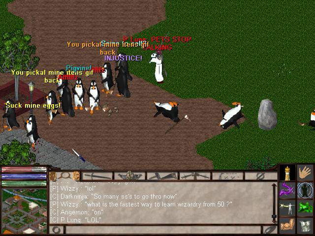 pigvine.JPG, 75.16 kb, 640 x 480